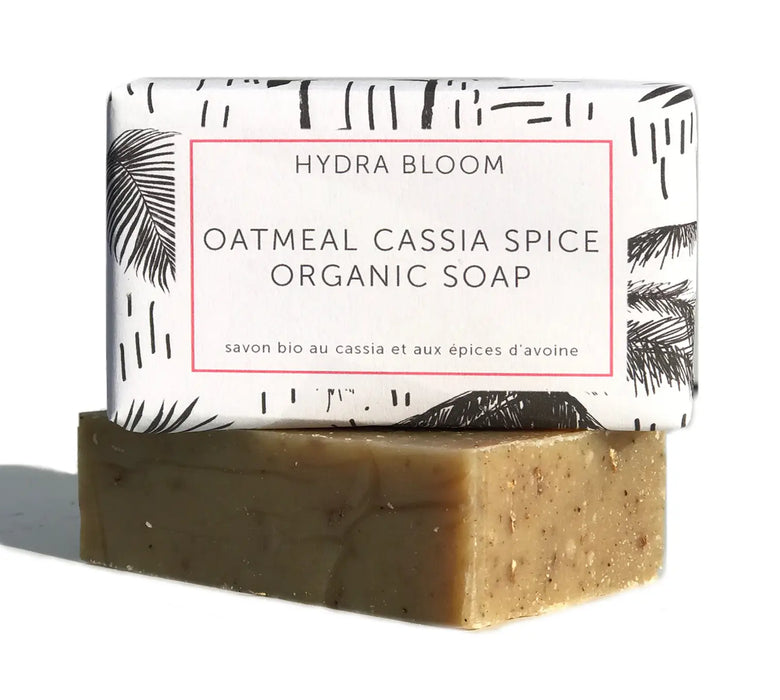Oatmeal Cassia Spice Organic Soap